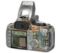 eosback